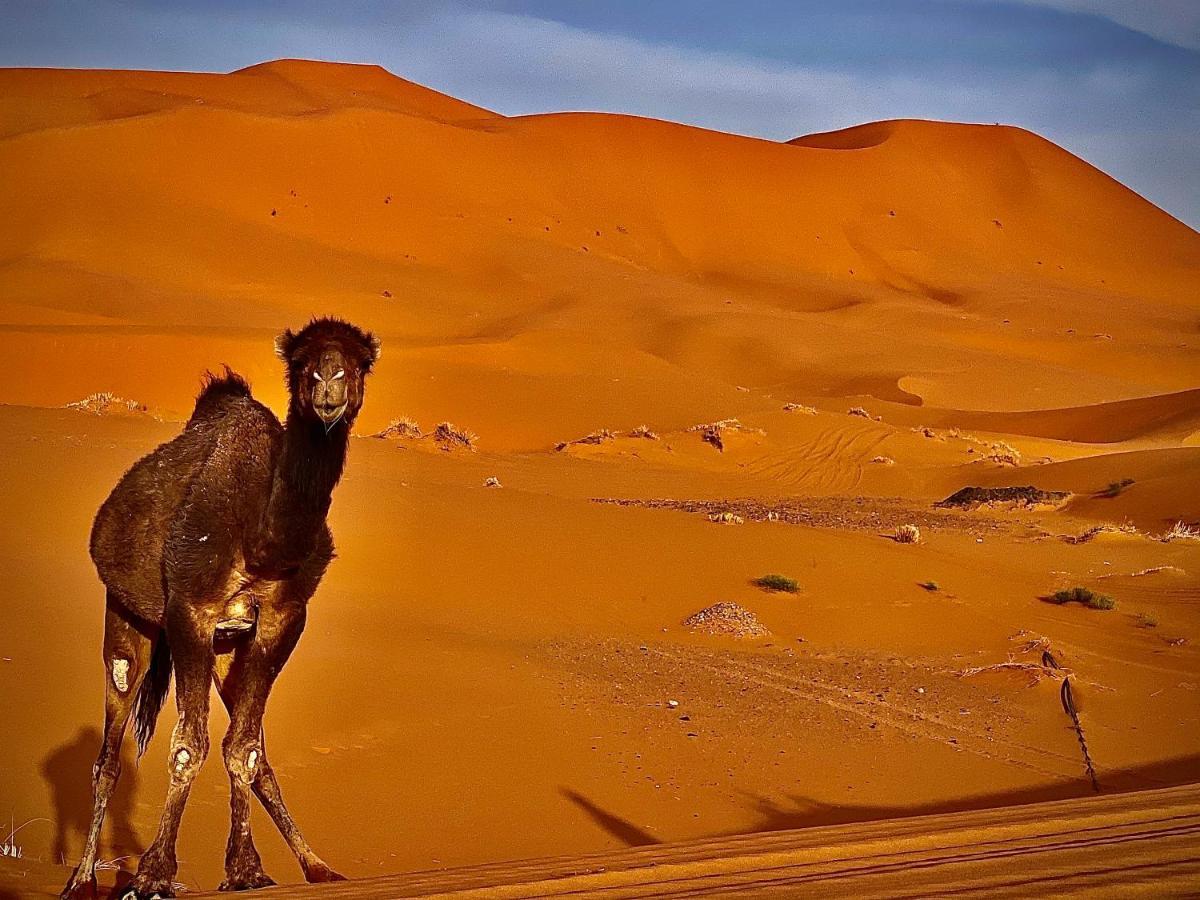 Your Berber Camp Merzouga Dış mekan fotoğraf